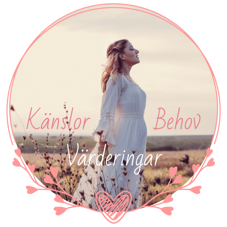 Känslor, behov och värderingar - gratis översikt